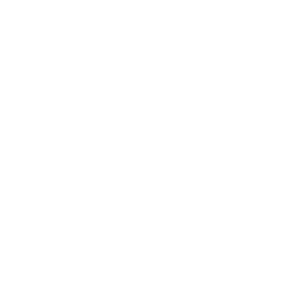 Свадебное агентство Ори